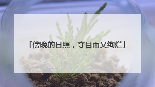 傍晚的日照，夺目而又绚烂